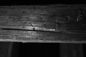 Lukáš Lev průvodce Terezín