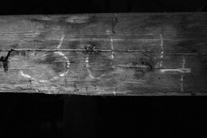 Lukáš Lev průvodce Terezín