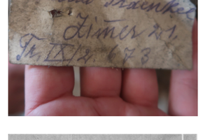 Paula Fraenkel souhrn